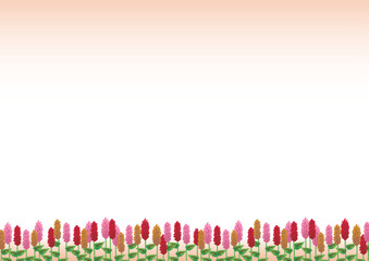 ケイトウの花の手描きベクターイラスト