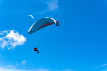Paragliders fly in the blue sky against the background of clouds. Paragliding in the sky on a sunny day.