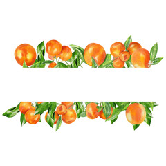 Handpainted watercolor border with oranges