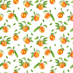 Handpainted watercolor seamless pattern with orange fruits