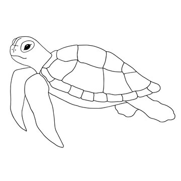 recommend clip art: Sea Turtle. A simple line drawing drawn by hand. Vector. Black outline. Coloring underwater animals.
