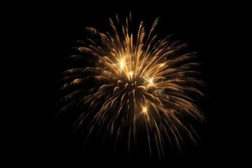 Golden Fireworks on Black Background Isolated. Celebration and Light. Generative AI illustrations.