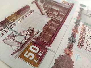 50 Egyptian pound - background of Egyptian banknotes - Egyptian currency - Egyptian pounds
 - obrazy, fototapety, plakaty