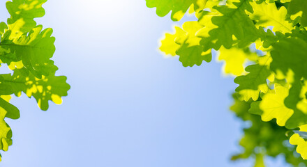 Vibrant green foliage against a sunny blue sky