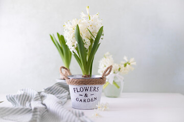 Vase with white hyacinth on a light background