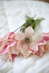 Naklejka na ściany i meble Bouquet of fresh pink tulips in the interior