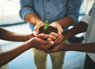 Plant, soil and teamwork with hands of business people for support, earth or environment. Collaboration, growth and investment with closeup of employees for sustainability, partnership or community - obrazy, fototapety, plakaty