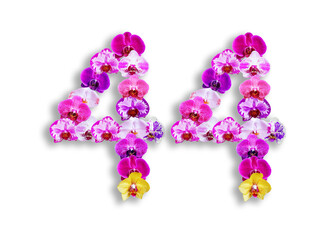 The shape of the number 44 is made of various kinds of orchid flowers. suitable for birthday, anniversary and memorial day templates