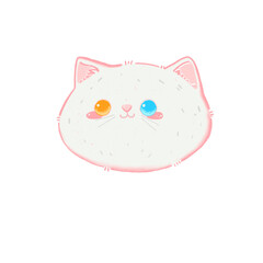 Cat white 