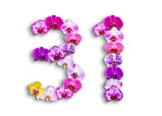 The shape of the number 31 is made of various kinds of orchid flowers. suitable for birthday, anniversary and memorial day templates