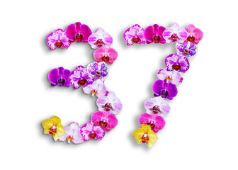 The shape of the number 37 is made of various kinds of orchid flowers. suitable for birthday, anniversary and memorial day templates