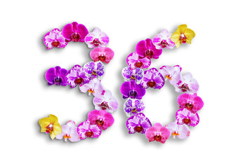 The shape of the number 36 is made of various kinds of orchid flowers. suitable for birthday, anniversary and memorial day templates