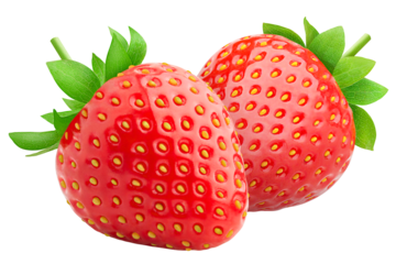 strawberry isolated on white background, full depth of field