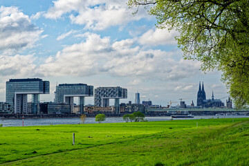 Die K&ouml;lner Skyline mit Dom und Kranh&auml;usern