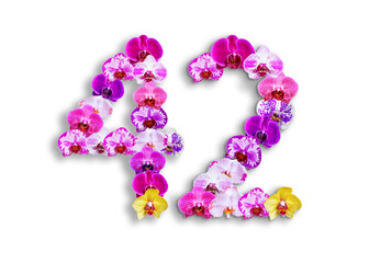 The shape of the number 42 is made of various kinds of orchid flowers. suitable for birthday, anniversary and memorial day templates