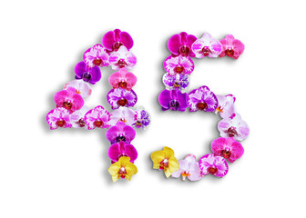 The shape of the number 45 is made of various kinds of orchid flowers. suitable for birthday, anniversary and memorial day templates