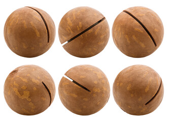 macadamia, nut, isolated on white background, full depth of field