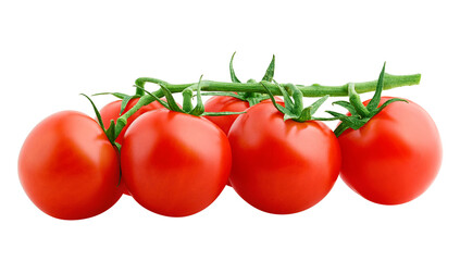 tomato cherry isolated on white background, full depth of field
