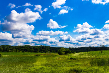 field and blue sky