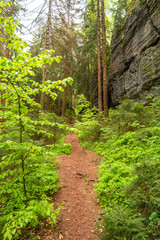 Fototapeta na wymiar Magical enchanted fairytale forest, sandstone rocks named Kleinhennersdorfer Stein and ancient gorge at the hiking trail in the national park Saxon Switzerland, Bad Schandau, Germany.
