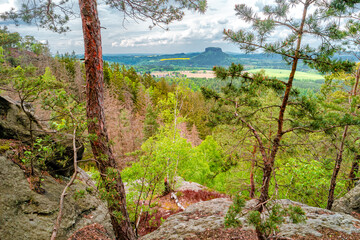 Magical enchanted fairytale forest, sandstone rocks named Kleinhennersdorfer Stein and top bird view at the hiking trail in the national park Saxon Switzerland, Bad Schandau, Germany.