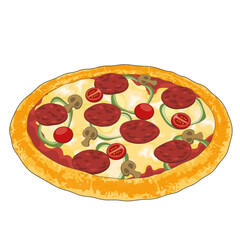 dellicious pizza illustration italian food with beef, cheese, tomato, pepper, etc