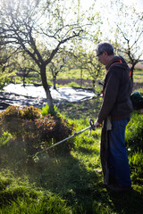 mowing a lawn with lawn mower