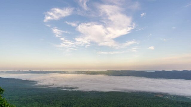 Spacious, beautiful mist at Pha Ham Hod, Sai Ngam National Park, Chaiyaphum, Thailand