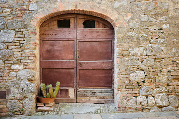 Door and cactus 