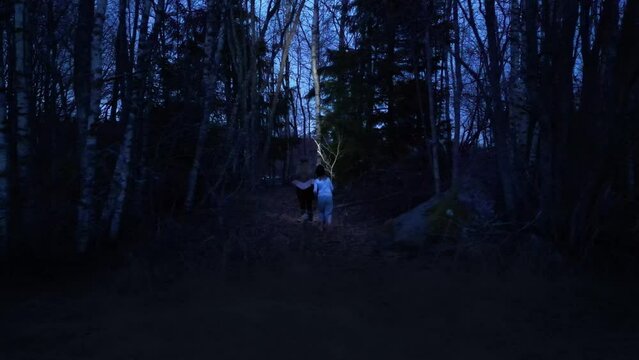 Lost sisters walking through deep forest at night, aerial view