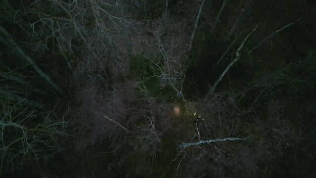 Lost kids trying to find way out forest during night with flashlights