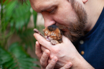 Brutal bearded man kissing newborn blind kitten. One week old abyssinian ruddy kitten in mans hands.  Pets care. World cat day. Image for websites about cats. Selective focus.