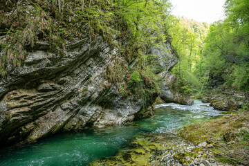 the vintgar gorge in Solvenia, a nature park with waterfalls and green plants