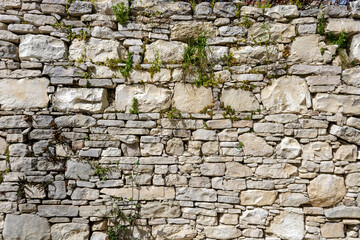 Old natural limestone wall with wild grass