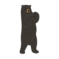 American Black Bear Single cute 3, vector illustration