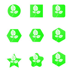 set of icons/Vector leaf illustration 7