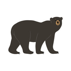 American Black Bear Single cute 2, vector illustration