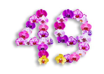 The shape of the number 49 is made of various kinds of orchid flowers. suitable for birthday, anniversary and memorial day templates
