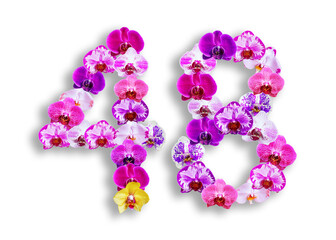 The shape of the number 48 is made of various kinds of orchid flowers. suitable for birthday, anniversary and memorial day templates