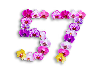The shape of the number 57 is made of various kinds of orchid flowers. suitable for birthday, anniversary and memorial day templates