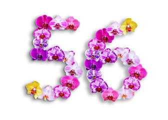 The shape of the number 56 is made of various kinds of orchid flowers. suitable for birthday, anniversary and memorial day templates