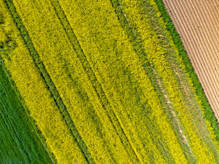Aerial view landscape. View of rapeseed fields in the countryside. Photo from a drone. Nature and ecology.
