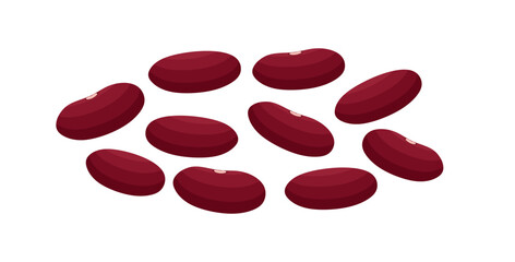 Red kidney bean in flat illustration. Beans are a very good source of folate, dietary fiber and copper, increase energy, lower cholesterol and have a good effect on memory. Flat vector illustration
