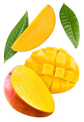 Mango isolated on white background