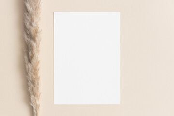 White invitation card mockup with a dried pampas on the beige table. 5x7 ratio, similar to A6, A5.
