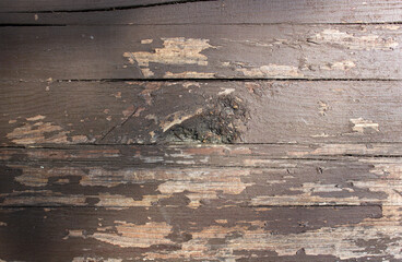 Old faded boards, texture background. Old boards, wooden shabby background, close-up.