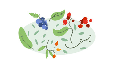 Wild berries fresh and ripe tasty healthy food with leaves vector flat style illustration isolated over white, delicious vegetation diet eating, nature gifts.