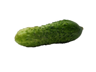 A cucumber isolated on a white background