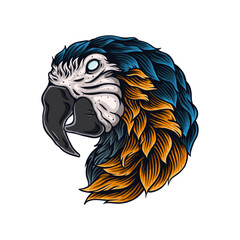 Illustration of a macaw bird's head