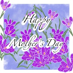 spring floral background crocuses lilac purple